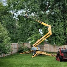 Best Tree Trimming and Pruning  in Cutchogue, NY